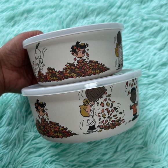 Peanuts snoopy seasonal containers storage perfect for fall thanksgiving set - Picture 4 of 8